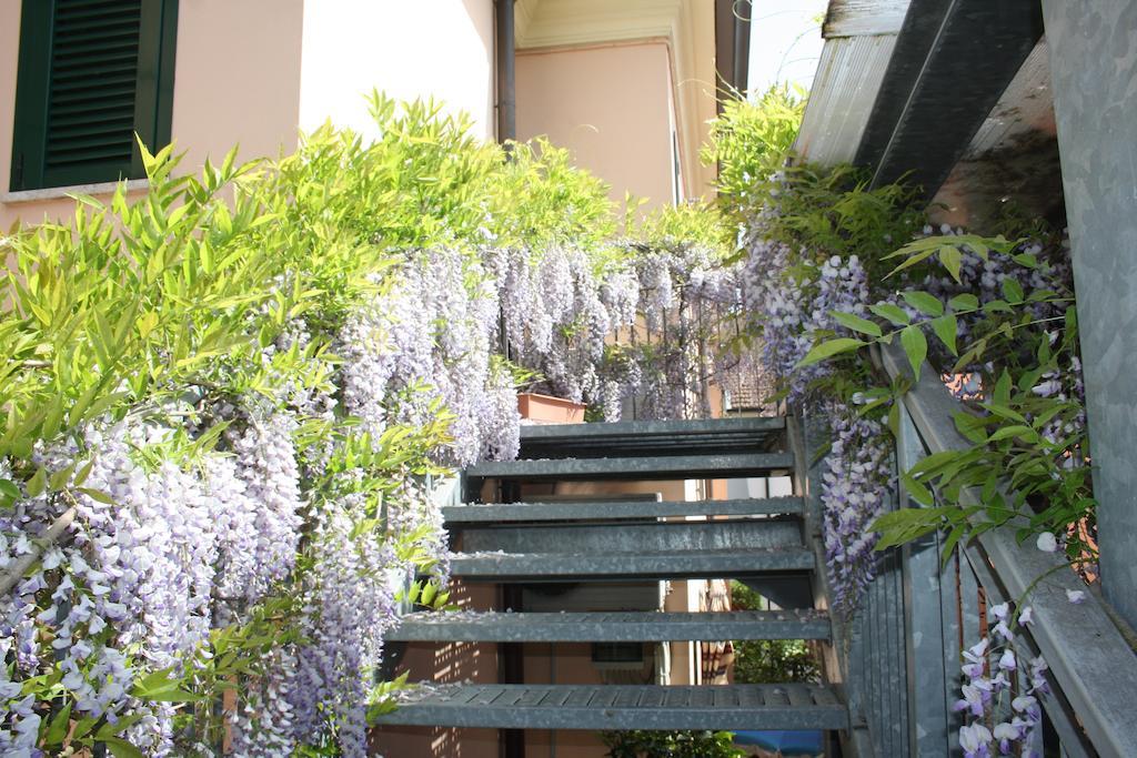 Hotel Villa Grazia 切塞纳蒂科 外观 照片